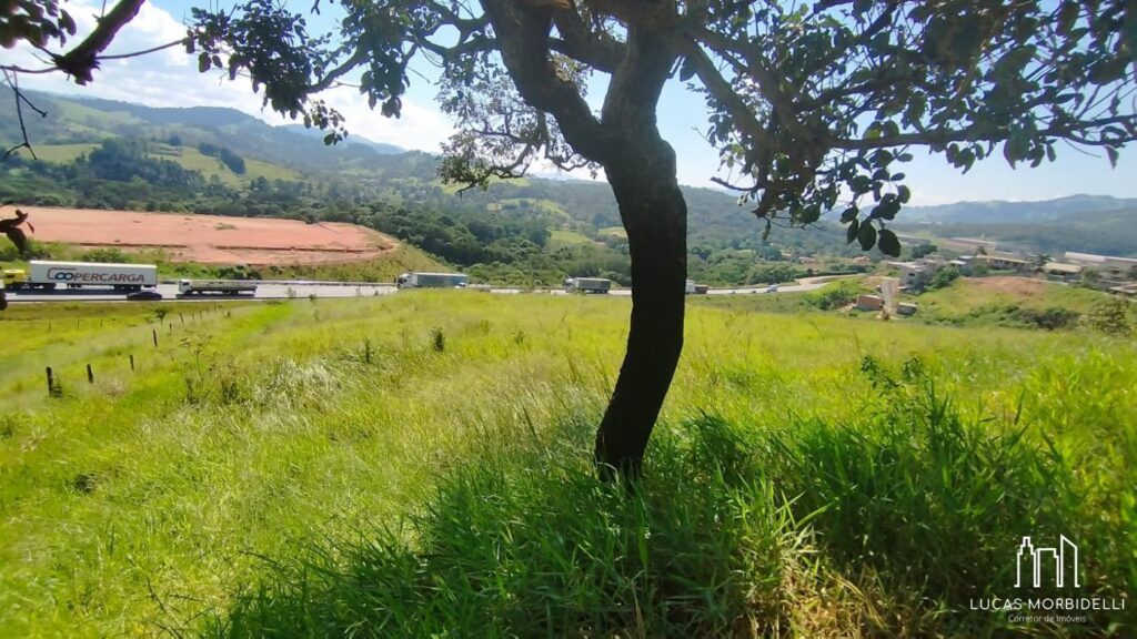 Venda – Terreno Industrial no Bairro Pessegueiro - Imagem 2