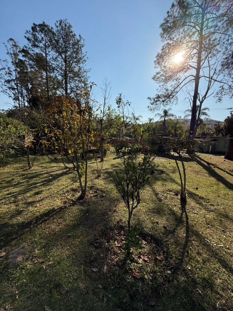 Venda – Chácara ou Terreno no Bairro Juncal - Imagem 27