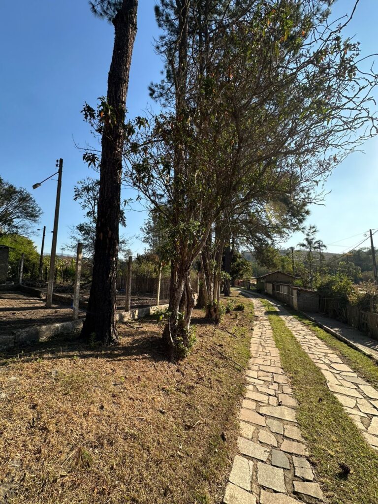 Venda – Chácara ou Terreno no Bairro Juncal - Imagem 30
