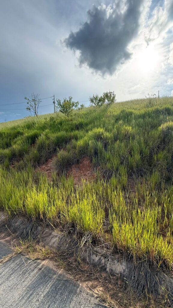 Venda – Terreno no Bairro Quinta da Mantiqueira - Imagem 6