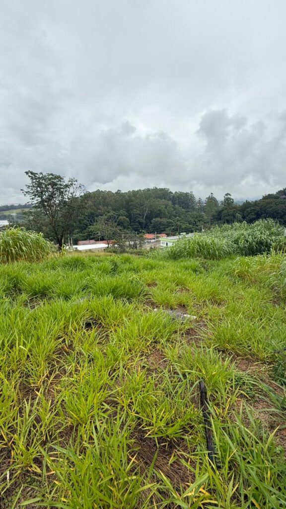Venda – Terreno no Bairro Lisboa - Imagem 3
