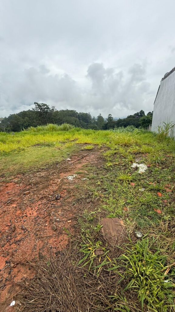Venda – Terreno no Bairro Lisboa - Imagem 5