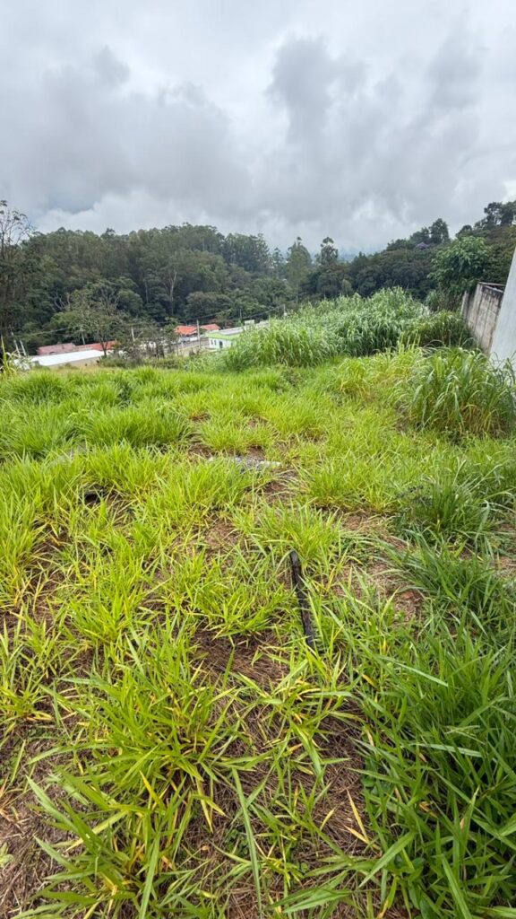 Venda – Terreno no Bairro Lisboa - Imagem 6