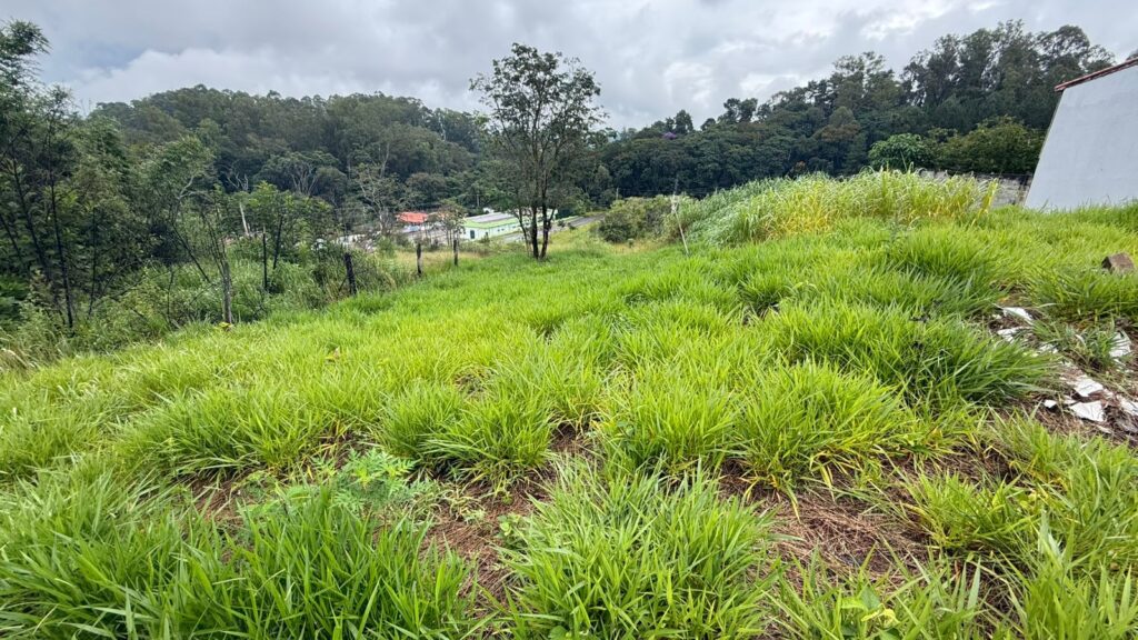 Venda – Terreno no Bairro Lisboa - Imagem 4