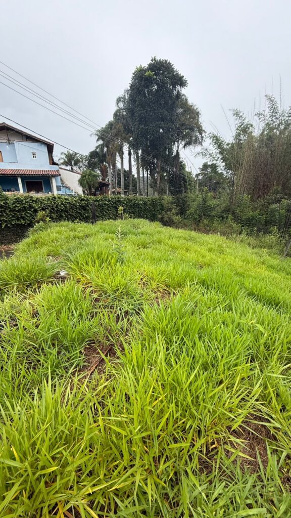 Venda – Terreno no Bairro Lisboa - Imagem 2