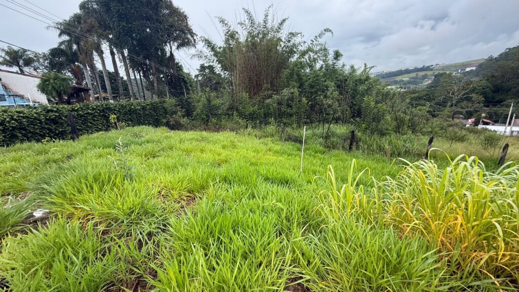 Venda – Terreno no Bairro Lisboa - Imagem 5