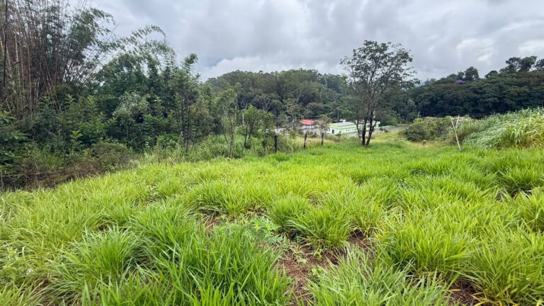 Imagem do Imóvel: Venda – Terreno no Bairro Lisboa