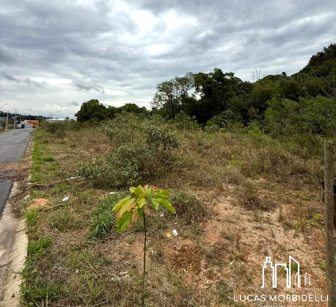 Venda – Terreno no Bairro Lisboa
