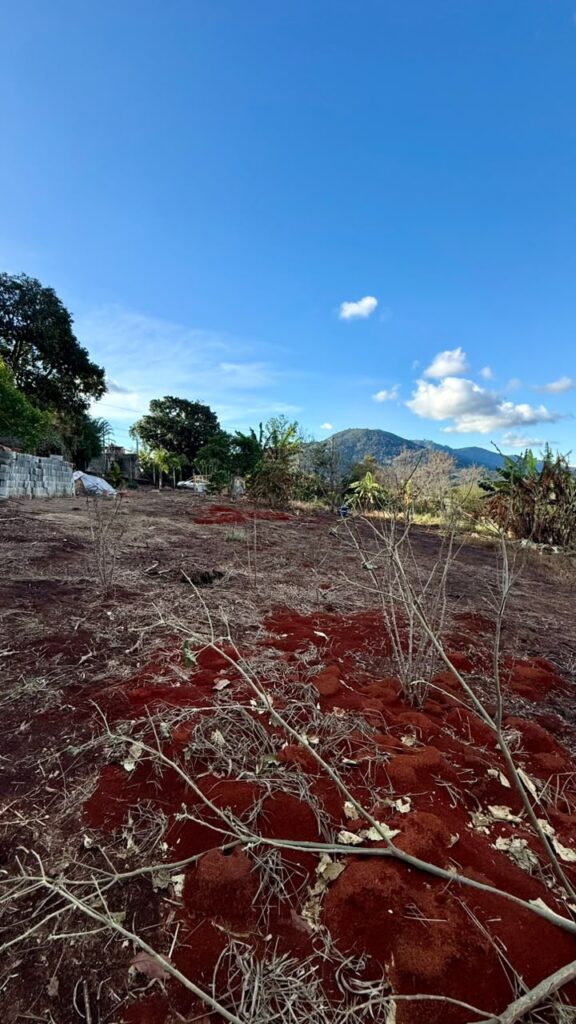 Venda – Terreno no Bairro do Salto - Imagem 6