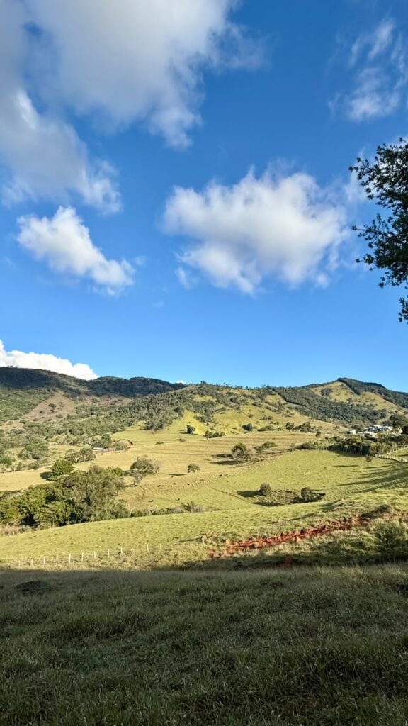 Venda – Terreno no Bairro do Salto - Imagem 2