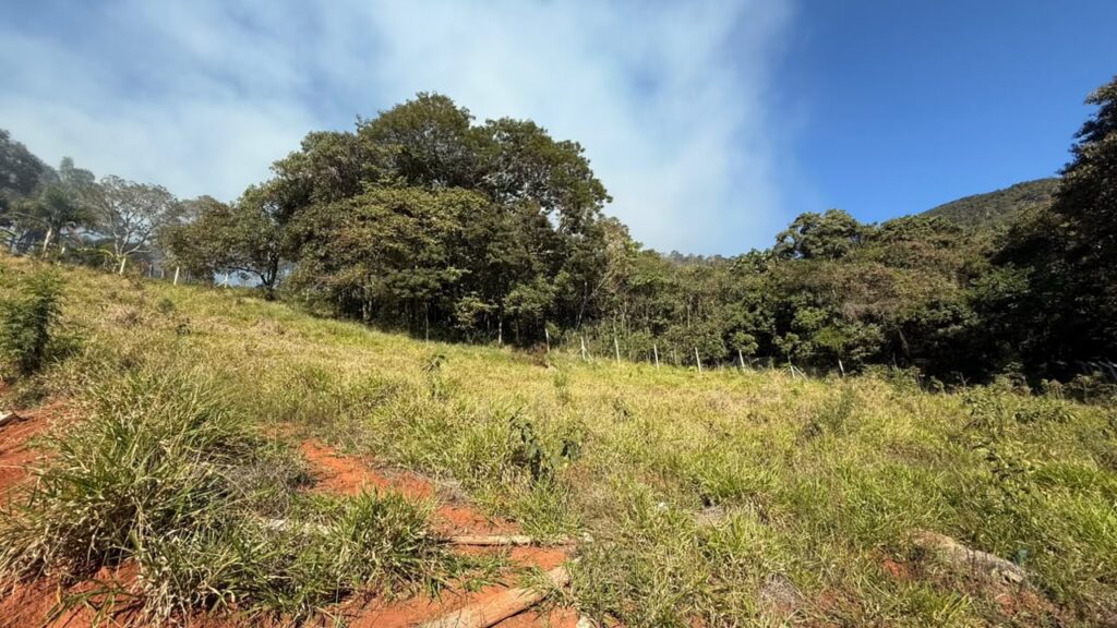 Venda – Terreno no Bairro Ajuruoca - Imagem 7