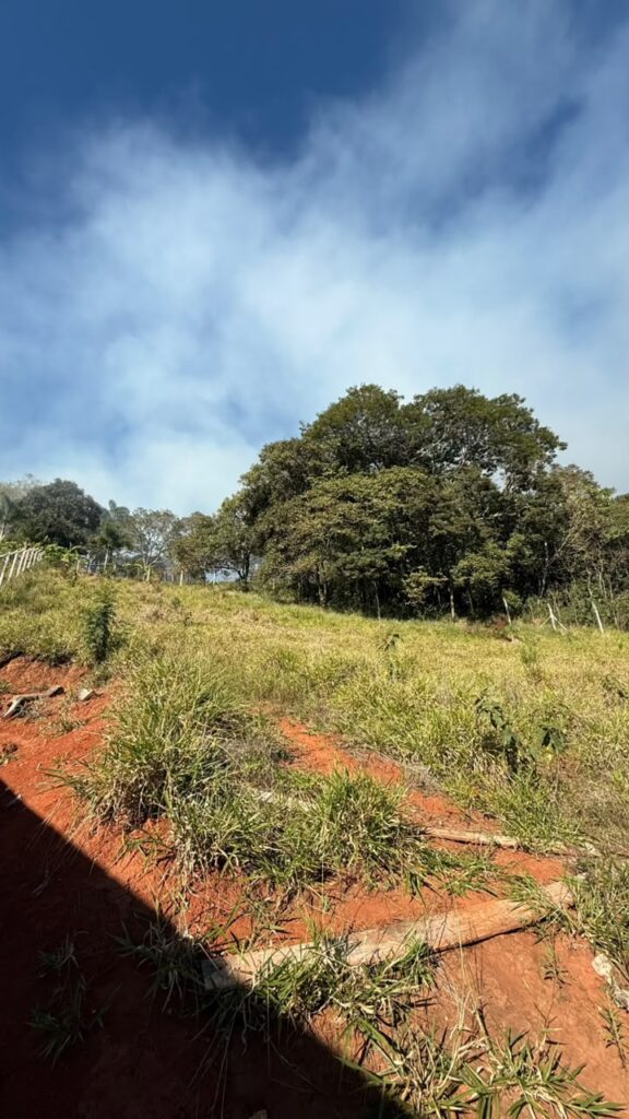 Venda – Terreno no Bairro Ajuruoca - Imagem 10