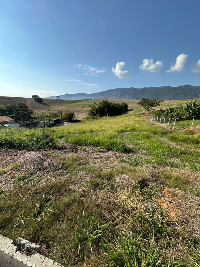 Venda – Terreno no Bairro do Godóy - Imagem 5