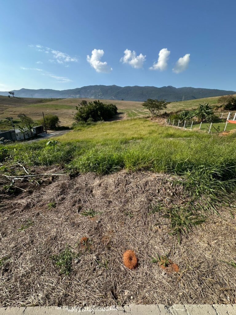 Venda – Terreno no Bairro do Godóy - Imagem 6