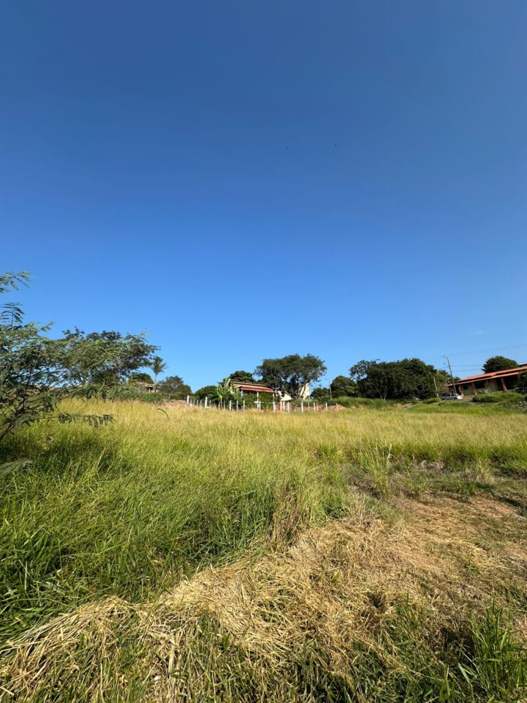 Venda – Terreno no Bairro do Godóy - Imagem 8