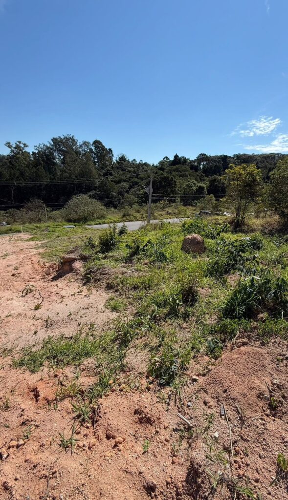 Venda – Terreno no Bairro Lisboa - Imagem 4