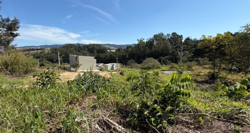 Venda – Terreno no Bairro Lisboa - Imagem 5