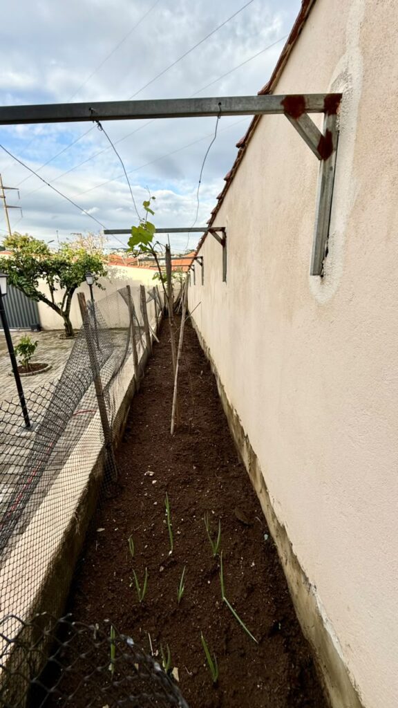 Venda – Casa no Bairro Cachoeira II - Imagem 42