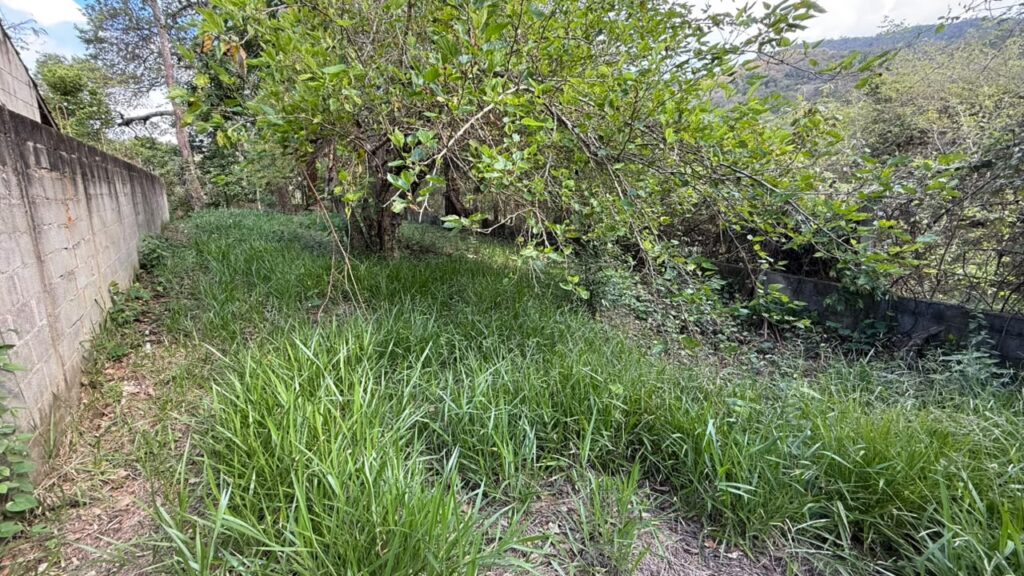 Venda – Terreno no Bairro Parque dos Pássaros - Imagem 4
