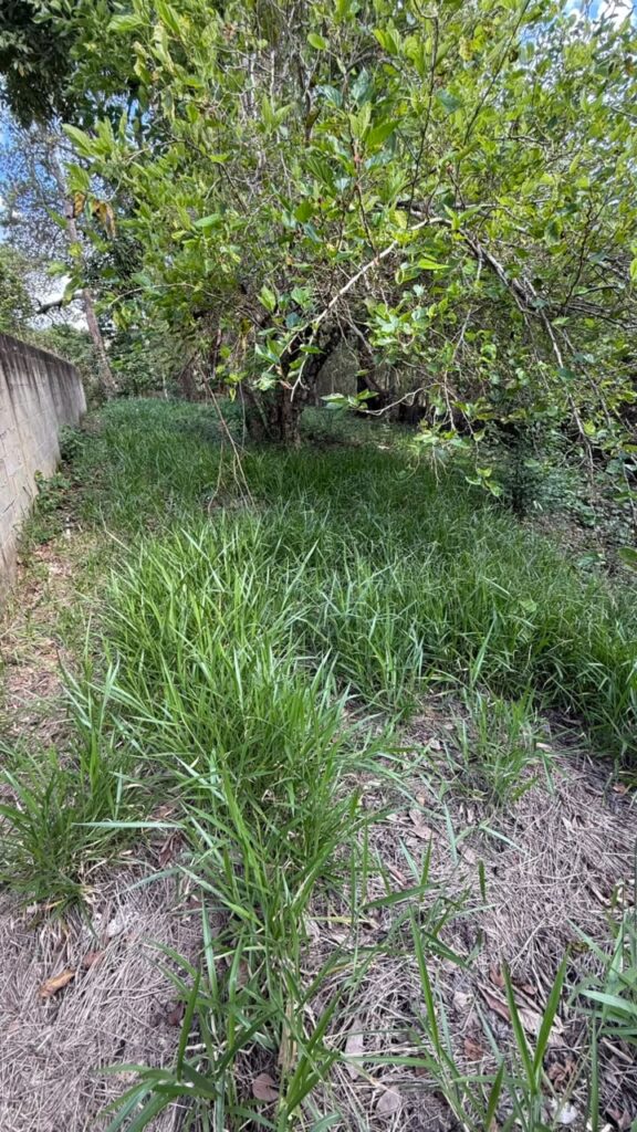 Venda – Terreno no Bairro Parque dos Pássaros - Imagem 5