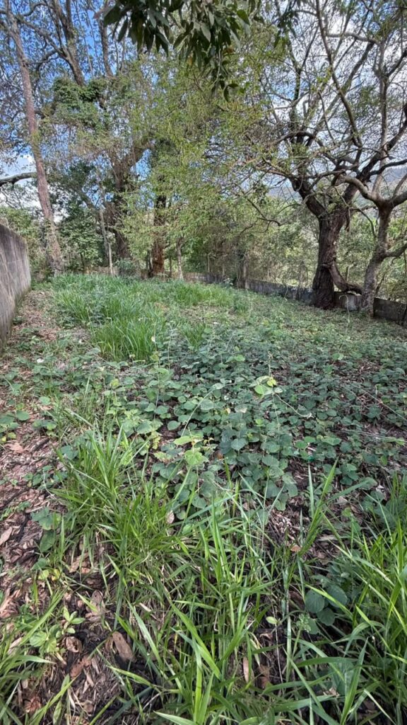 Venda – Terreno no Bairro Parque dos Pássaros - Imagem 2