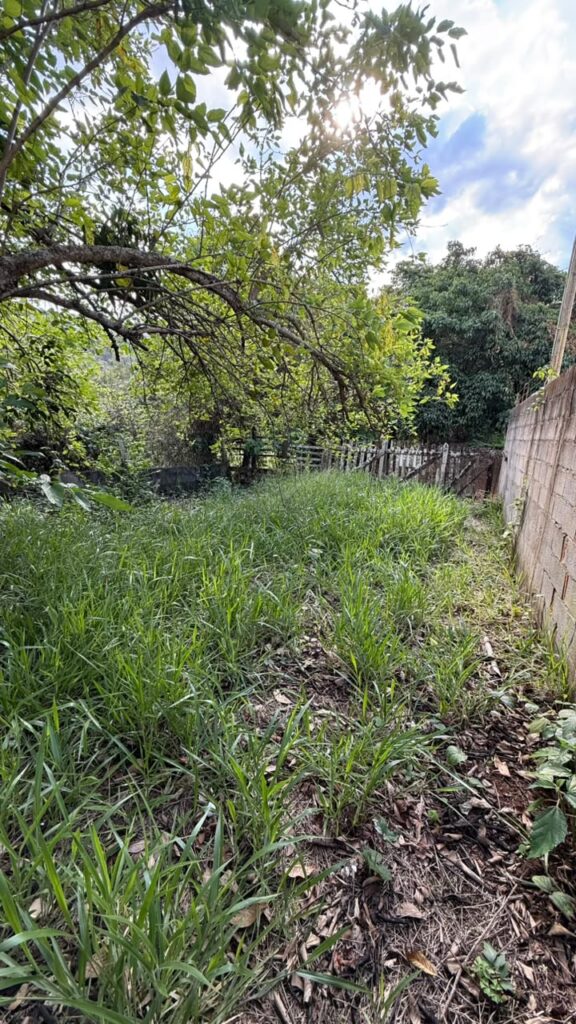 Venda – Terreno no Bairro Parque dos Pássaros - Imagem 3
