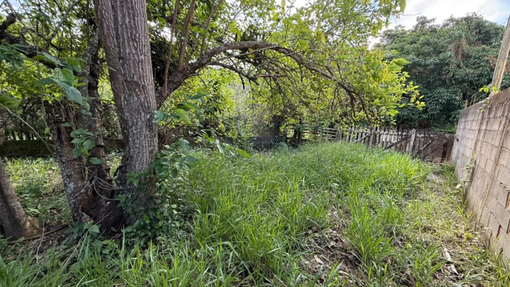 Venda – Terreno no Bairro Parque dos Pássaros - Imagem 6