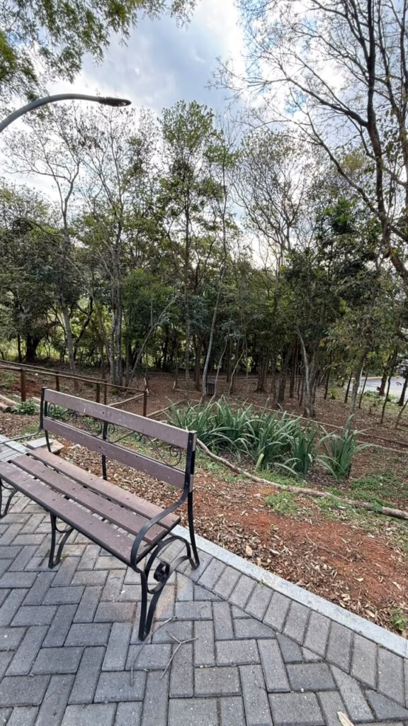 Venda – Terreno no Bairro Parque dos Pássaros - Imagem 11