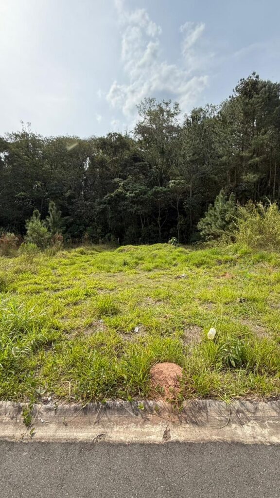 Venda – Terreno no Bairro Lisboa - Imagem 4