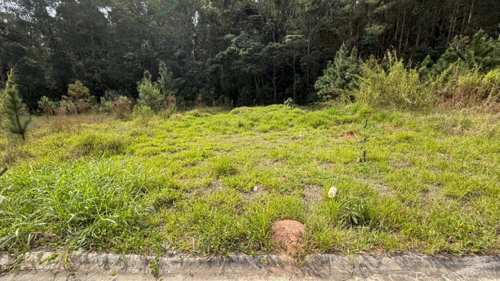 Venda – Terreno no Bairro Lisboa - Imagem 3