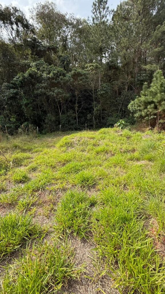 Venda – Terreno no Bairro Lisboa - Imagem 1