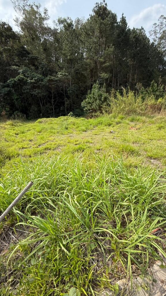 Venda – Terreno no Bairro Lisboa - Imagem 2