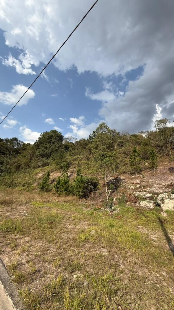 Venda – Terreno no Bairro Lisboa - Imagem 3
