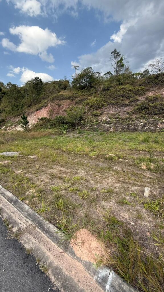 Venda – Terreno no Bairro Lisboa - Imagem 4