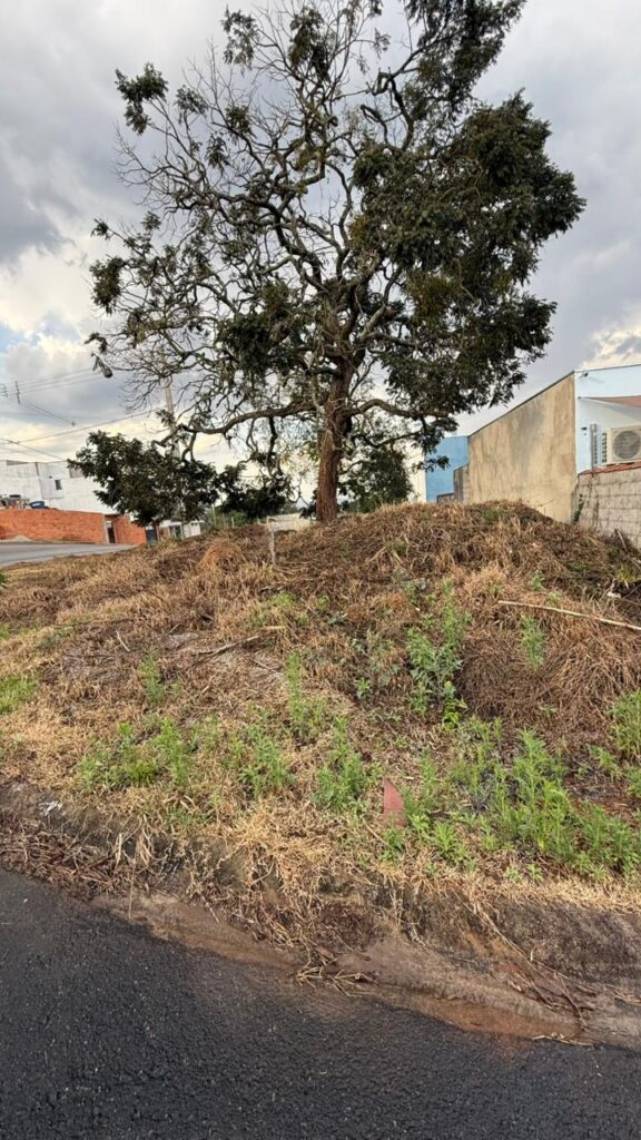 Venda – Terreno no Bairro Sierra - Imagem 4